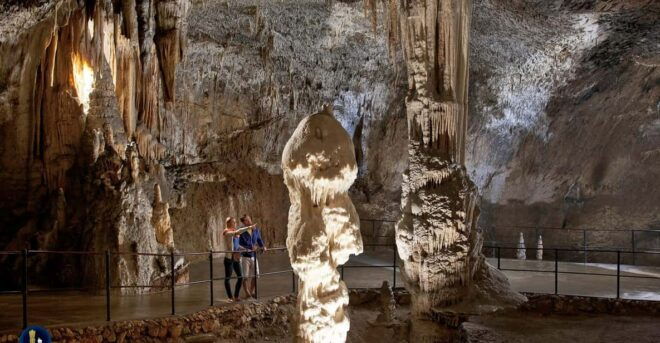 From Ljubljana: Postojna Cave and Predjama Castle Tour - Customer Reviews and Feedback