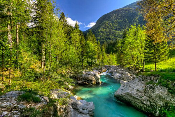 From Ljubljana: Soča River Experience - Scenic Vršić Pass