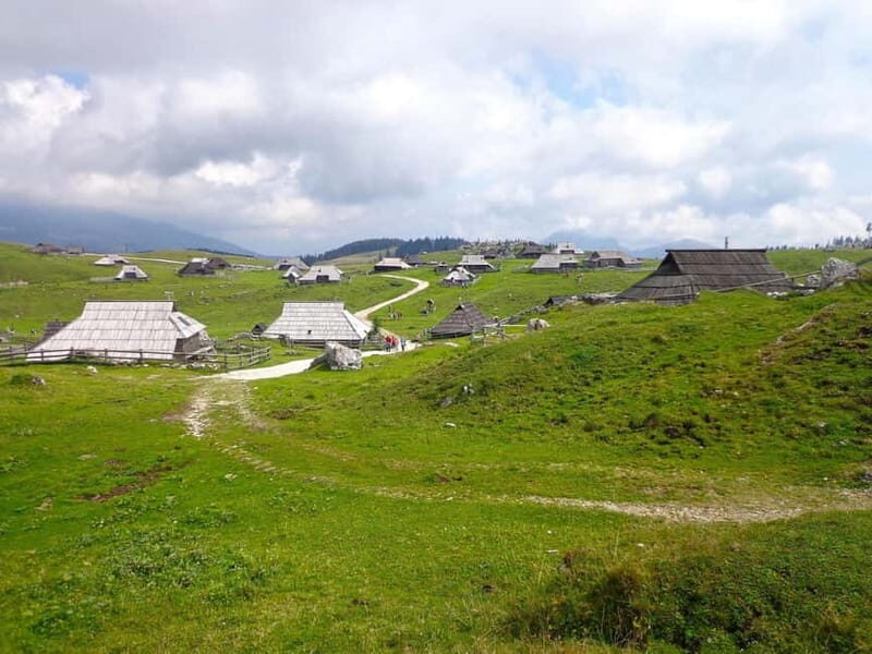 From Ljubljana: Velika Planina Guided Hike - An In-Depth Look at the Velika Planina Guided Hike