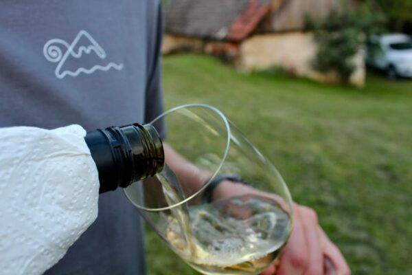 From Ljubljana: Wine Tasting Paired With Art Creation - The Sum Up