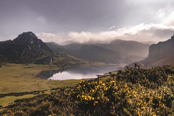 From Llanes: Lakes of Covadonga Guided Day Trip - Meeting Information