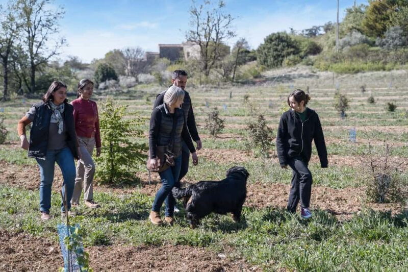 From location: Truffle farm visit, culinary workshop, meal - An In-Depth Look at the Truffle Farm Experience