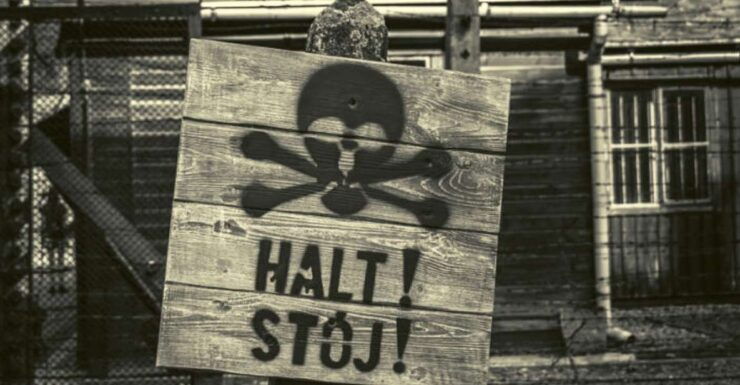 From Lodz: Auschwitz-Birkenau Small-Group Tour With Lunch - Tour Details