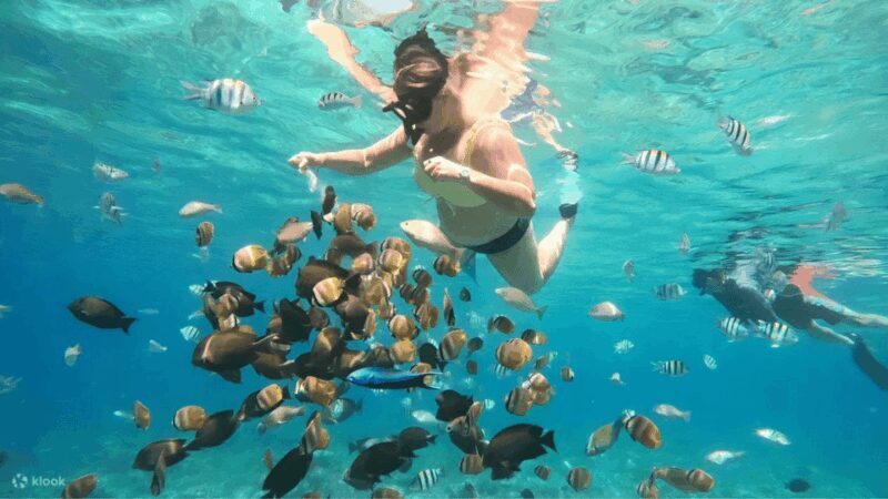 From Lombok: A Day Tour To Gili Nangu, Sudak, Kedis - Practicalities and What to Bring