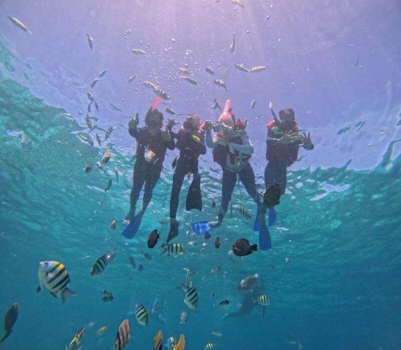 From Lombok Private Snorkeling 3 Gili All Inclusive - Good To Know