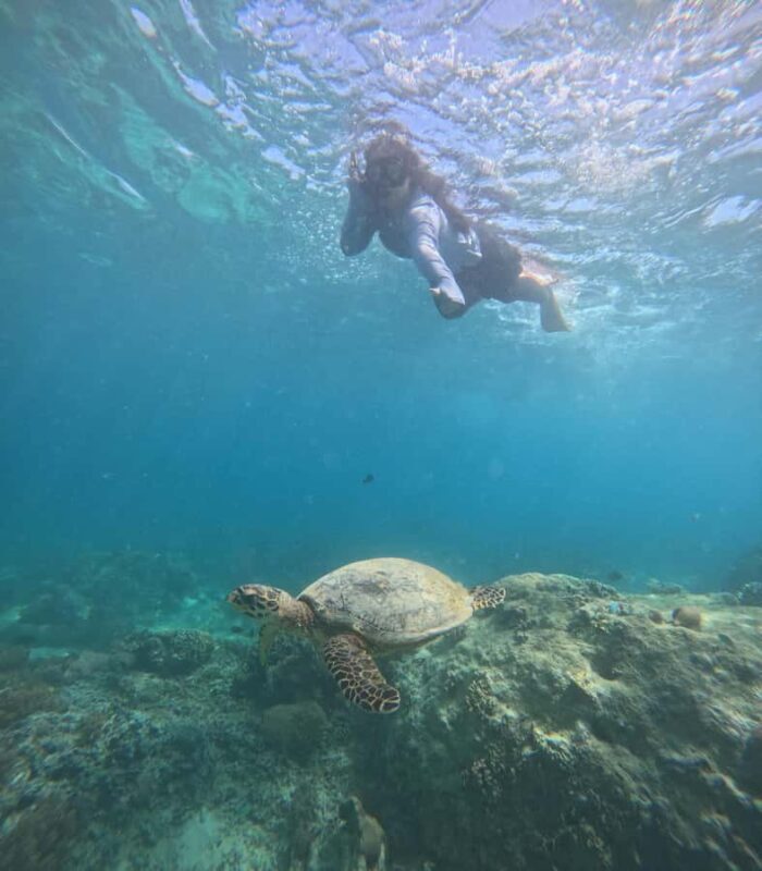 From Lombok Private Snorkeling 3 Gili All Inclusive - Practical Details: What This Tour Means for You
