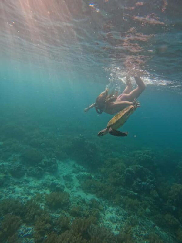 From Lombok Private Snorkeling 3 Gili All Inclusive - Who Should Consider This Tour?