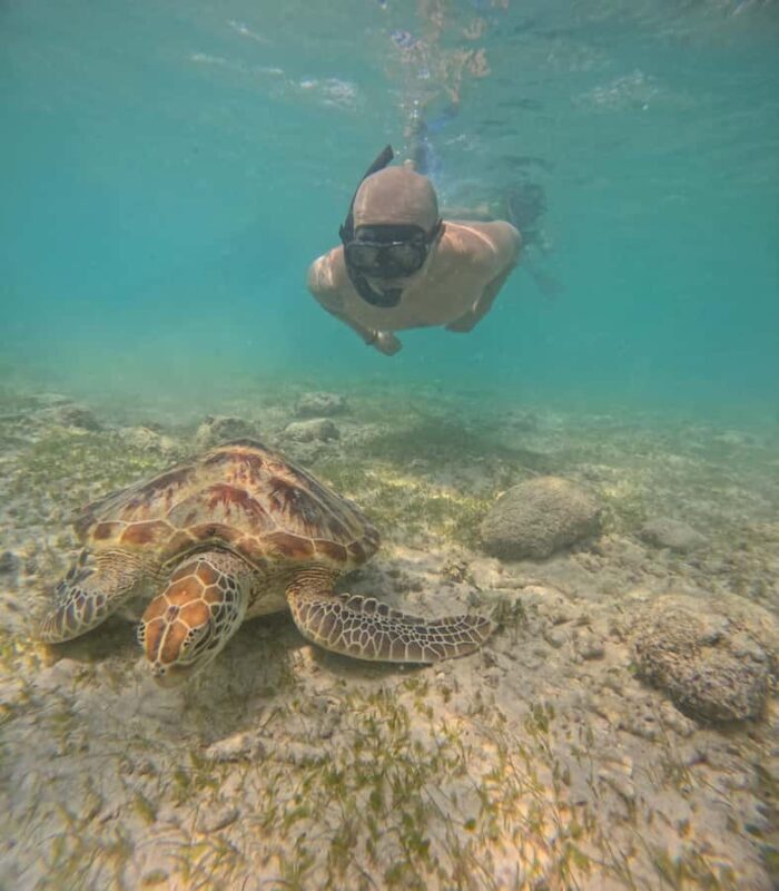 From Lombok Private Snorkeling 3 Gili All Inclusive - FAQ