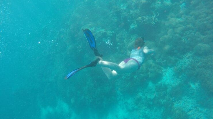 From Lombok: Southern Gilis Private Snorkelling Day Trip - Activity Details