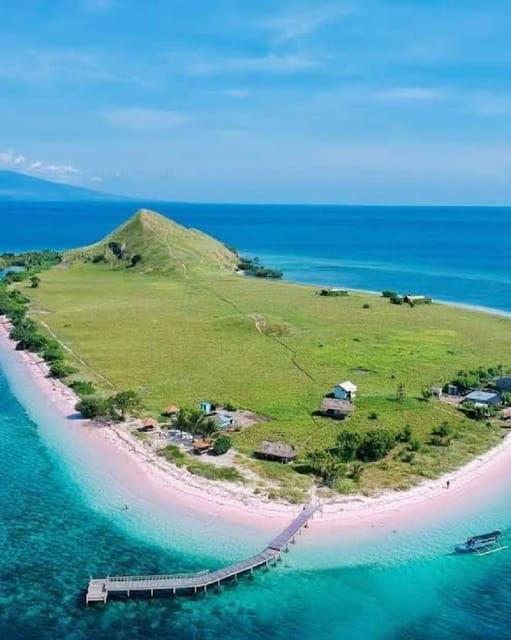 From Lombok,Sumbawa Whale Shark Tour 2D1N - Tour Overview and Pricing