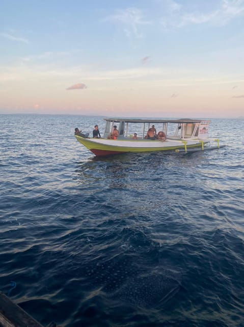 From Lombok,Sumbawa Whale Shark Tour 2D1N - Day 1 Activities