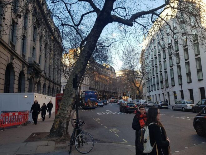 From London: Going to Southampton Port With Extra Bags - Inclusions