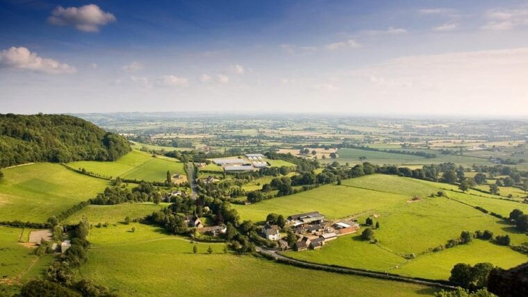 From London: Small Group Stonehenge, Bath & Cotswolds Tour - Transportation and Guides