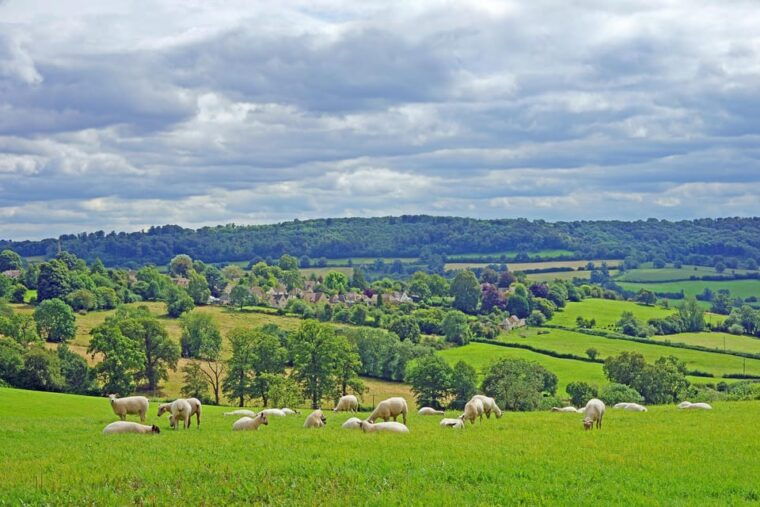 From London: Small Group Stonehenge, Bath & Cotswolds Tour - Price and Value