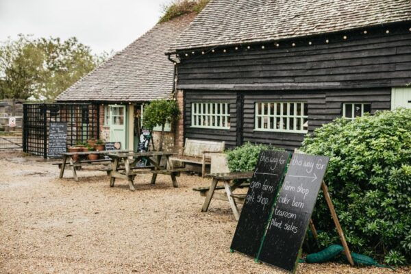 From London: South Downs Day Tour With Return Train Tickets - Common Questions