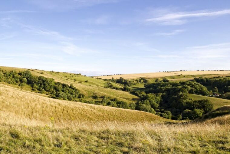 From London: Stonehenge and Bath Day Trip with Ticket - Final Thoughts: Is This Tour Right for You?
