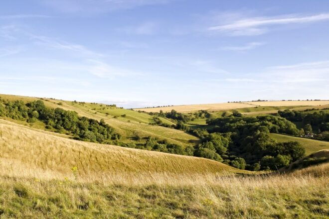 From London: Stonehenge, Avebury & Cotswolds Day Trip - Important Tips for the Trip