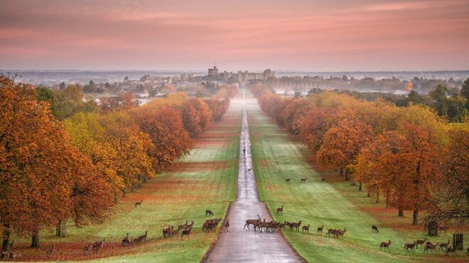 From London: Stonehenge, Windsor and Salisbury Guided Tour - Other Day Trip Options