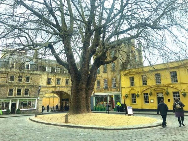 From London: Visit Stonehenge and The Roman Baths - Navigating the Journey