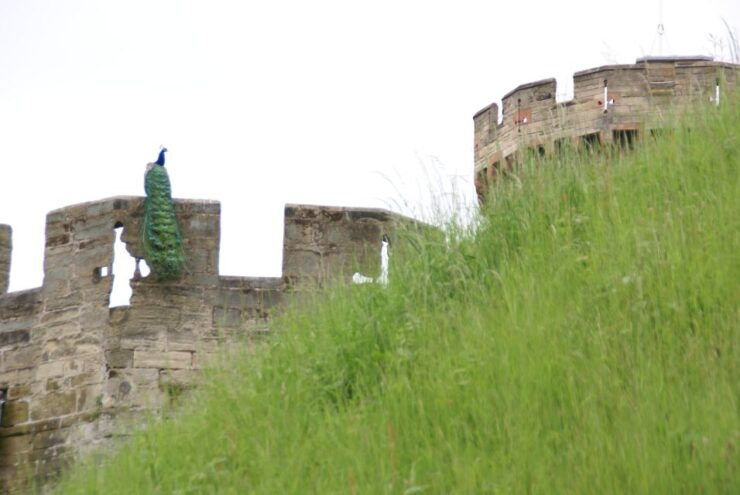 From London: Warwick Castle Entry Ticket & Day Trip by Train - Booking and Logistics