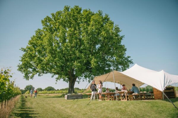 From London: Wine Tasting in the Garden of England - Directions to Meeting Point
