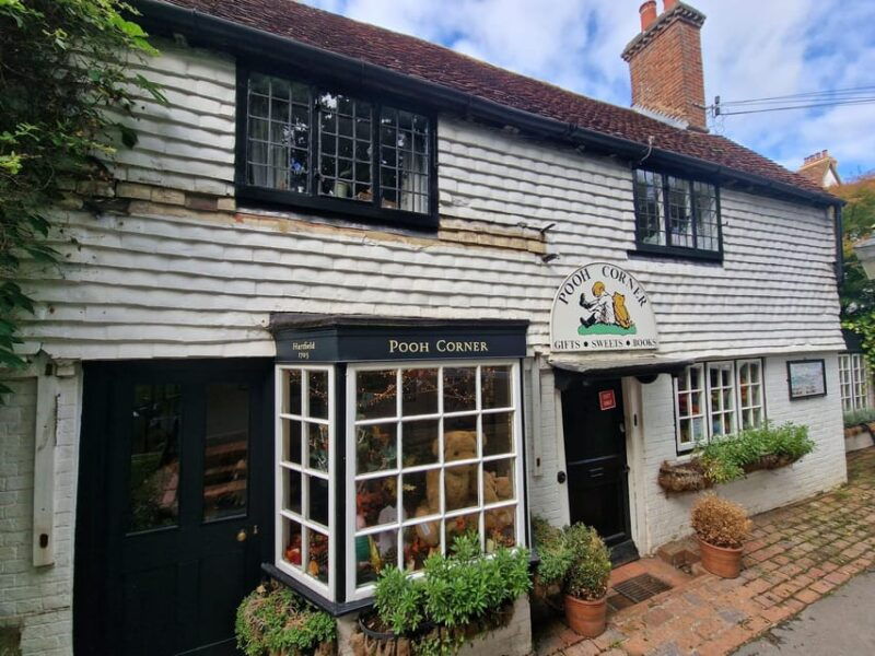 From London: Winnie-the-Pooh's Hundred Acre Wood Day Tour - The Value and Practicalities