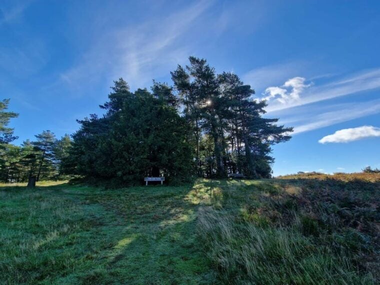 From London: Winnie-the-Pooh's Hundred Acre Wood Day Tour - FAQ