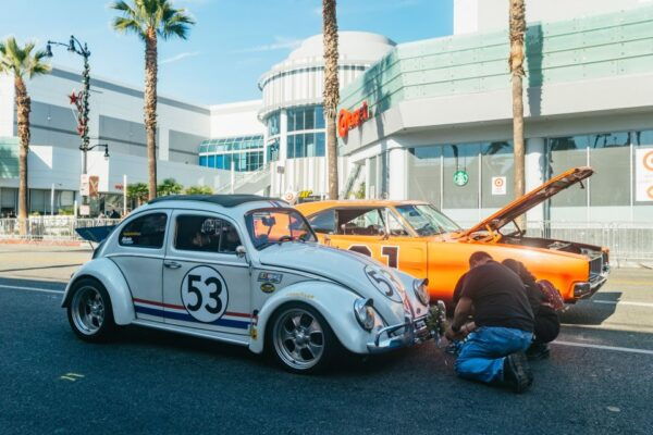 From Long Beach or San Pedro: Hollywood and Los Angeles Tour - Customer Reviews