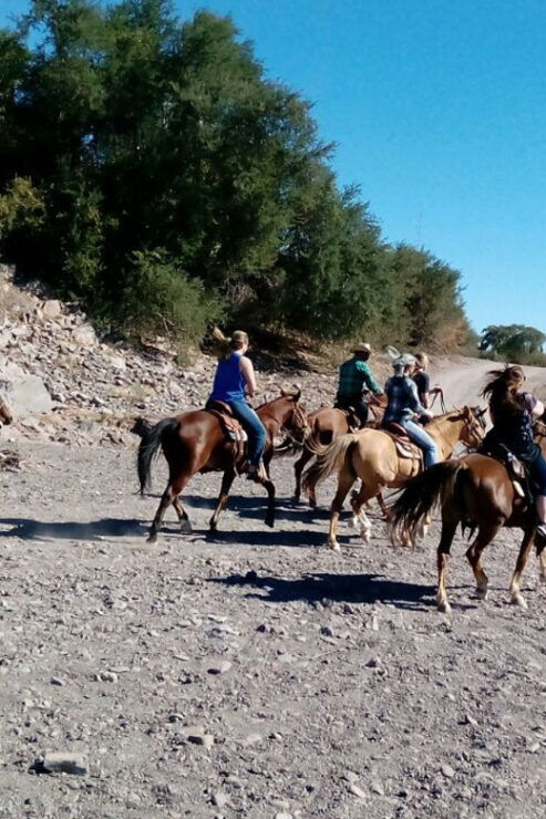 From Loreto: Baja Desert Horseback Riding Tour - Good To Know