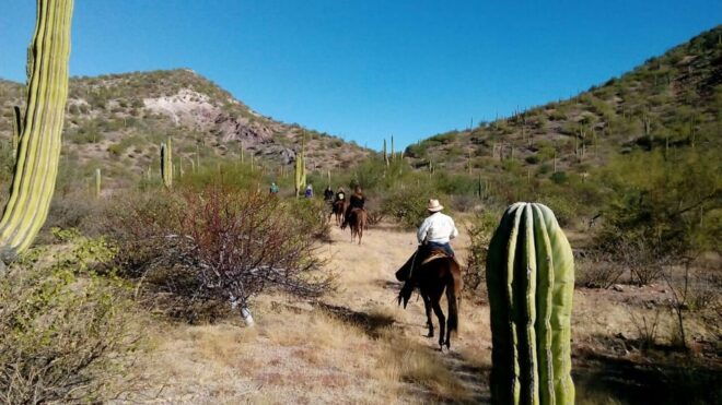 From Loreto: Baja Desert Horseback Riding Tour - Relaxing Horseback Ride