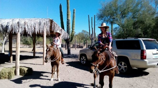 From Loreto: Baja Desert Horseback Riding Tour - Experienced Guides Insights