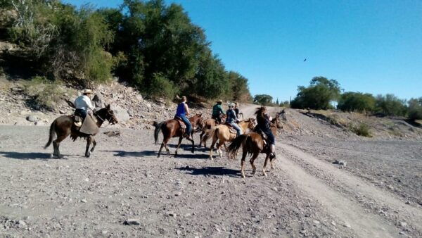 From Loreto: Baja Desert Horseback Riding Tour - Frequently Asked Questions