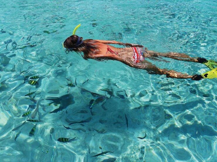 From Loreto: Snorkeling and Kayaking Catamaran Cruise - Booking Information