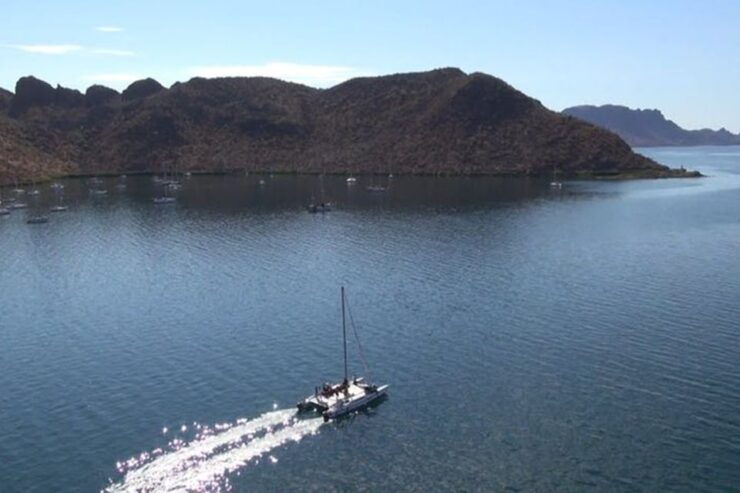 From Loreto: Sunset Appetizers & Open Bar Catamaran Cruise - Experience Highlights