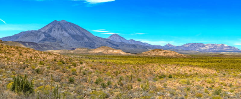 From Los Cabos: City Tour La Paz, Balandra and Todos Santos - An In-Depth Look at the Tour Itinerary and Experience