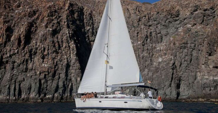 From Los Gigantes: Whale Watching Sailboat Cruise - Booking Details