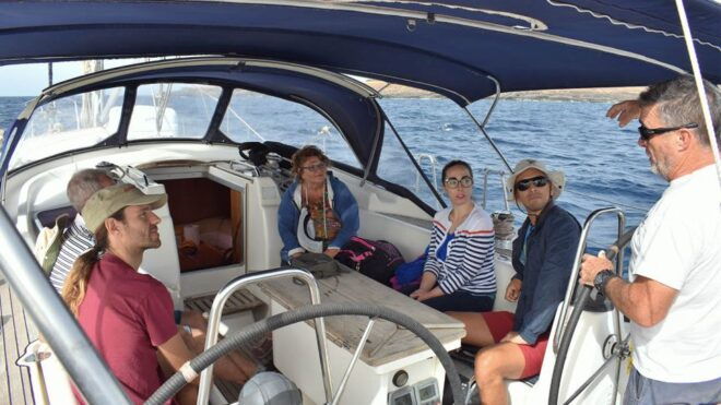 From Los Gigantes: Whale Watching Sailboat Cruise - Customer Reviews