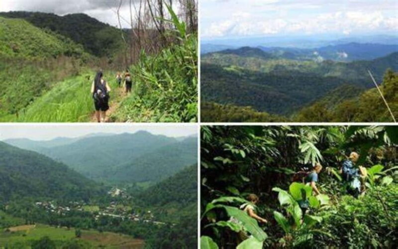 From Luang Prabang: Luang Namtha Hill Tribe Tour - Good To Know