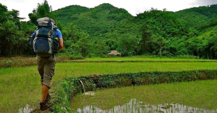 From Luang Prabang: Thin Pha Trail & Tad Sae Falls Trek - Experience of the Trek