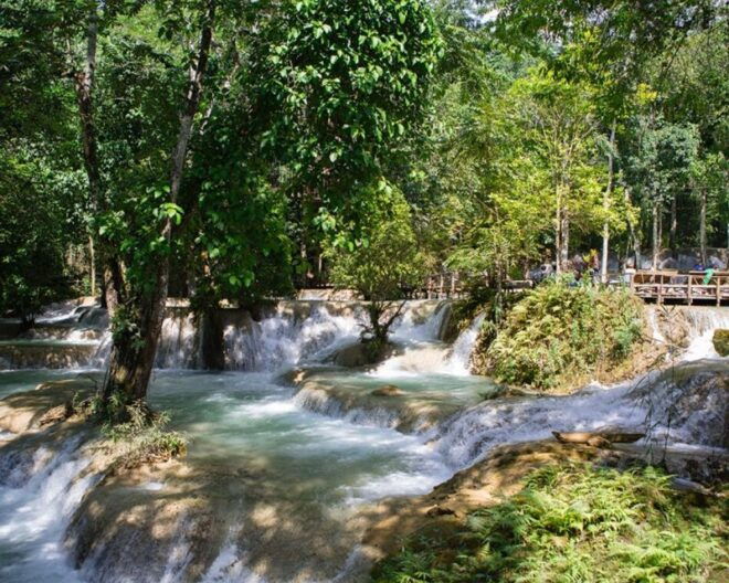 From Luang Prabang: Thin Pha Trail & Tad Sae Falls Trek - Full Description of the Trek