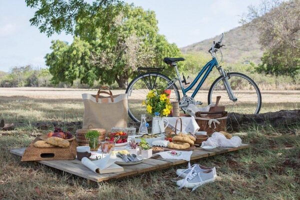 From Lucca to Pisa E-BIKE Tour + Pick-up & Drop-off by Van - Local Attractions and Experiences