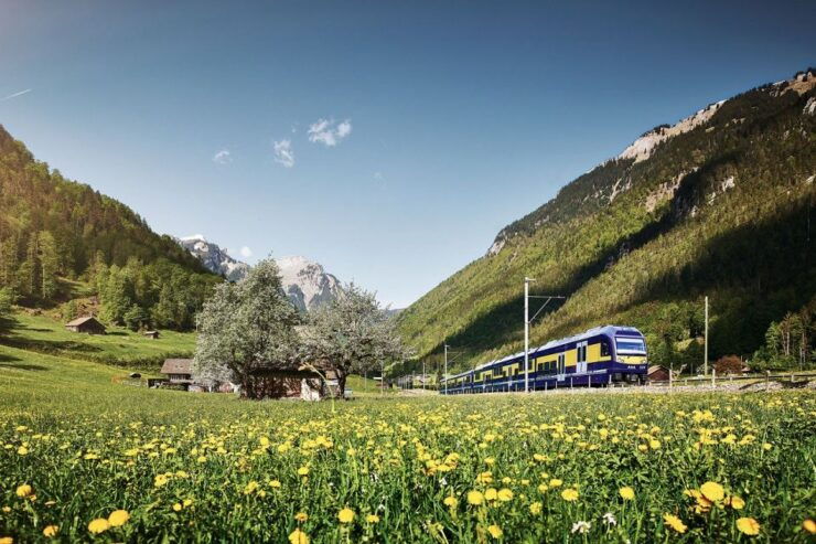 From Lucerne: Day Trip to Grindelwald and Interlaken - Tour Details