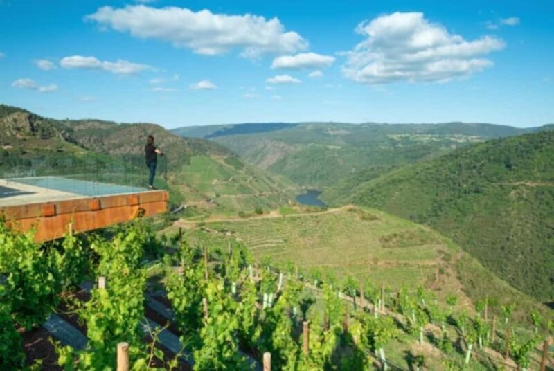 From Lugo: Half day excursion to Ribeira sacra - What Makes This Tour Special?