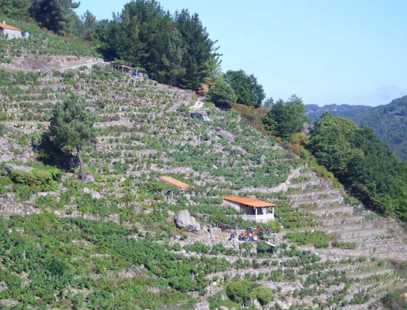 From Lugo: Half day excursion to Ribeira sacra - The Itinerary Breakdown