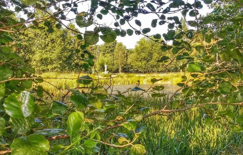 From Lugo: Half-day excursion to the Viladonga Hillfort - Practicalities: What to Expect on the Tour