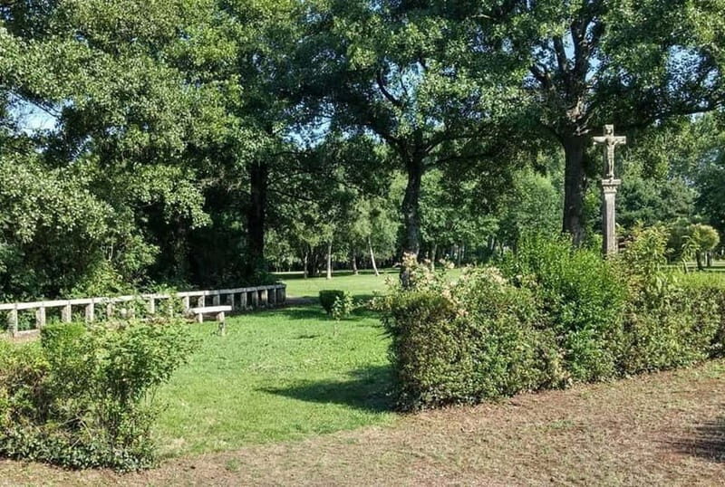 From Lugo: Half-day excursion to the Viladonga Hillfort - The Sum Up