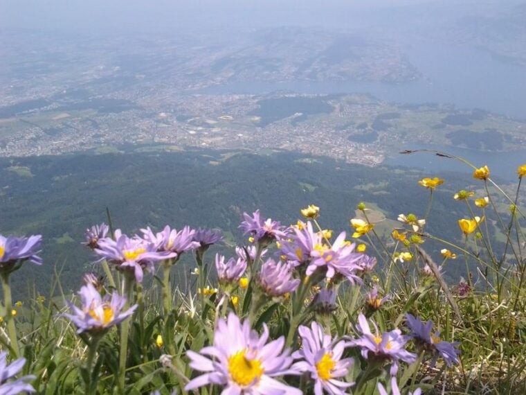 From Luzern:Small Group Tour Golden Roundtrip to Mt. Pilatus - Important Information