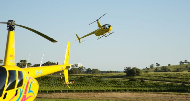 From Lyndoch: Barossa Valley 15-Minute Helicopter Flight - Highlights of the Experience