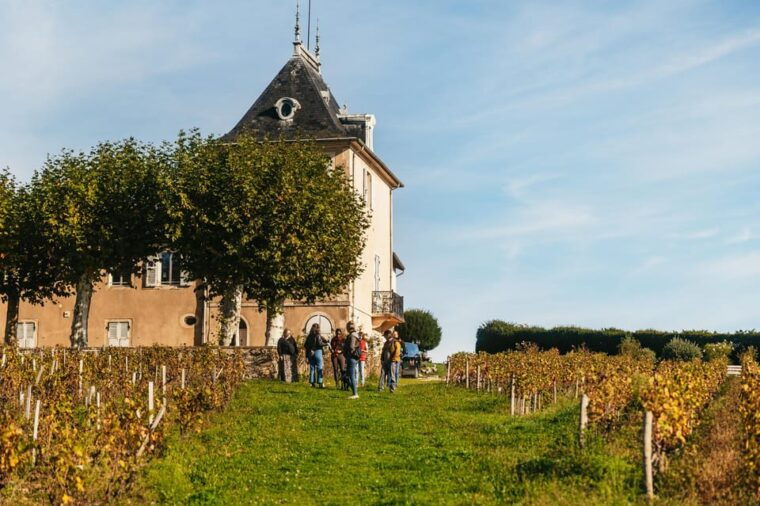 From Lyon: Beaujolais Region Wine Tour With Tastings - Itinerary and Activities