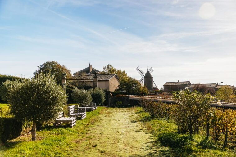 From Lyon: Beaujolais Region Wine Tour With Tastings - The Beauty of the Beaujolais Landscape